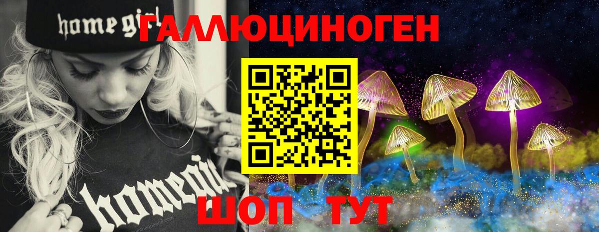 Галлюциногенные грибы Psilocybine cubensis Нефтекумск